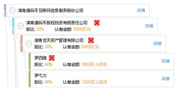 湖南通碼幣互聯(lián)網(wǎng)信息服務(wù)股份公司 在數(shù)字經(jīng)濟浪潮中的信息服務(wù)引領(lǐng)者